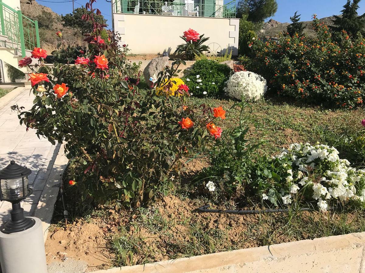 Ampeloessa Village Kornos المظهر الخارجي الصورة